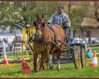 1POSIEUX 0520